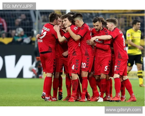 2015年弗赖堡对阵多特蒙德亚盘分析与赛事回顾